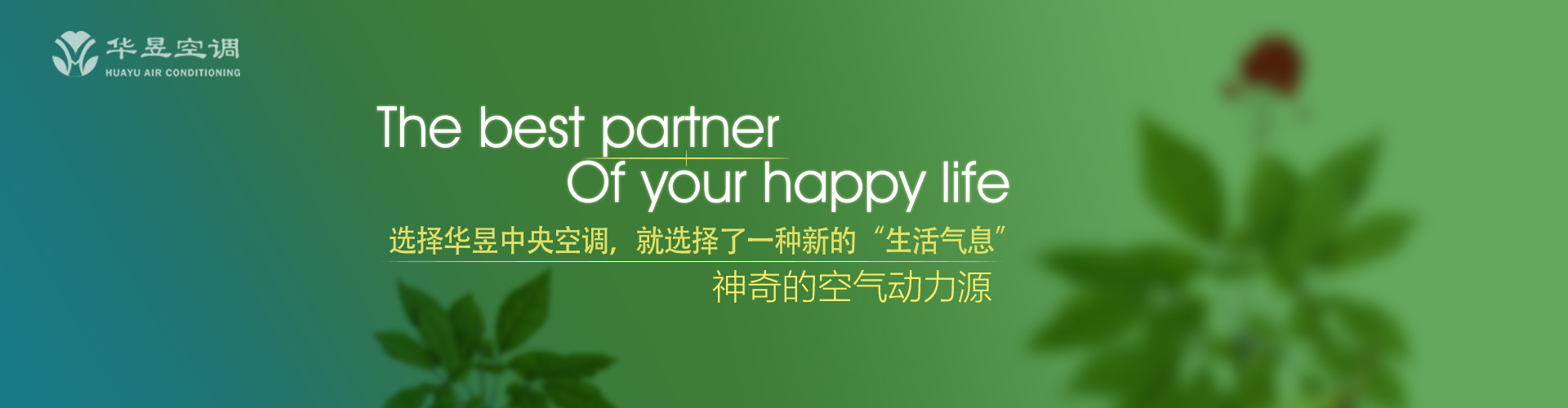 弃旧图新网